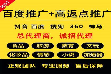 竞价广告赚钱秘籍：百度实战案例
